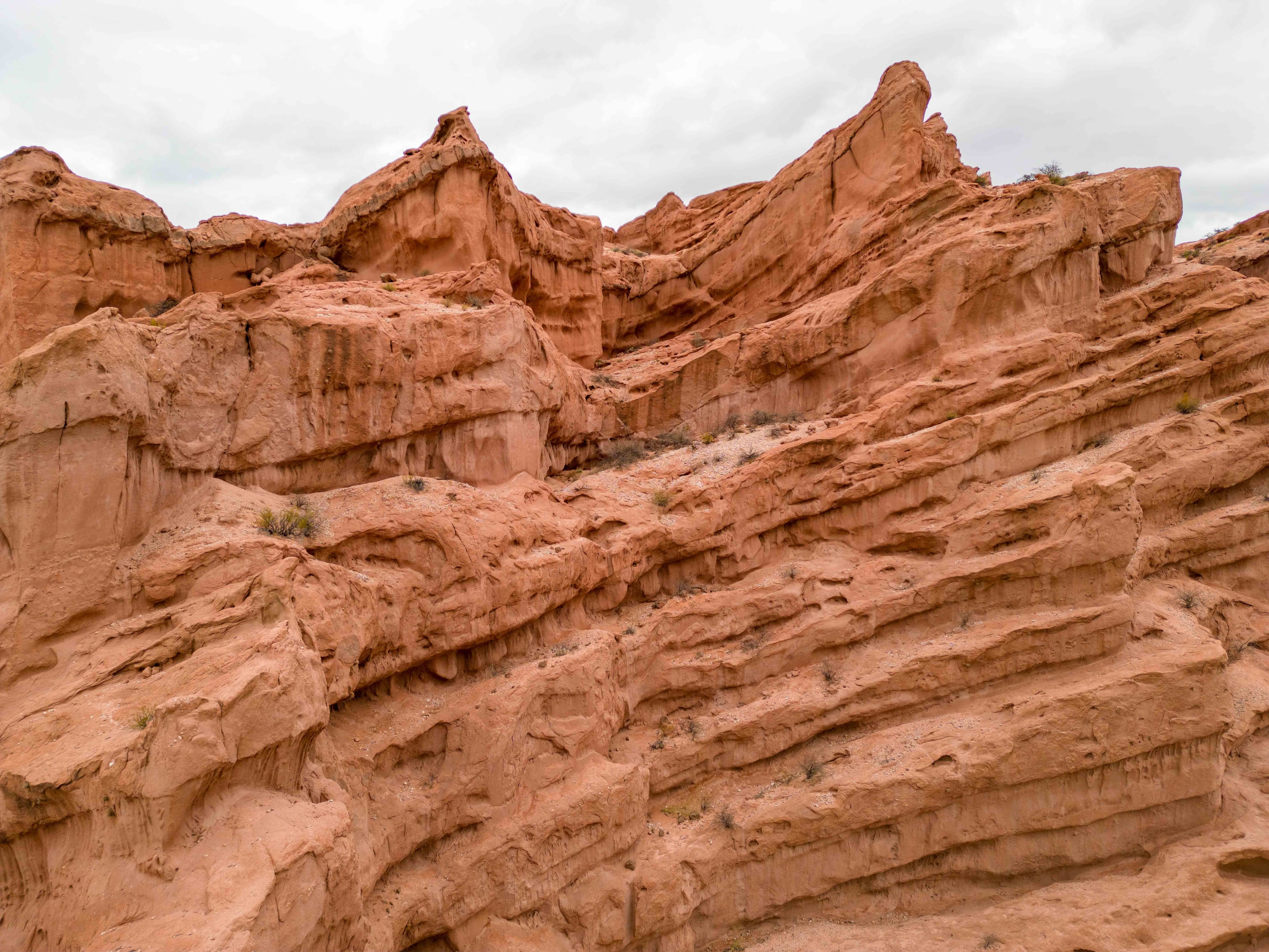 Cafayate